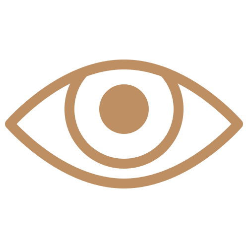 vision